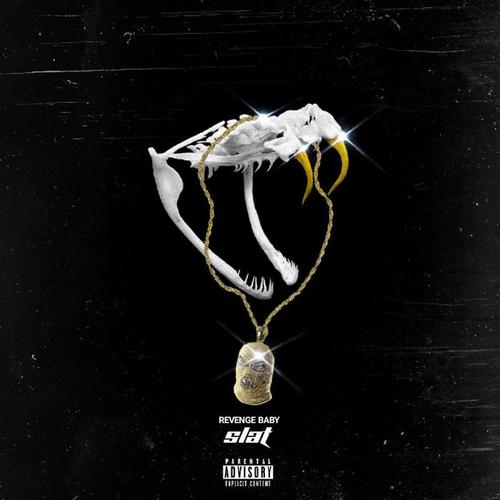slat(explicit)_revenge baby_单曲在线试听_酷我音乐