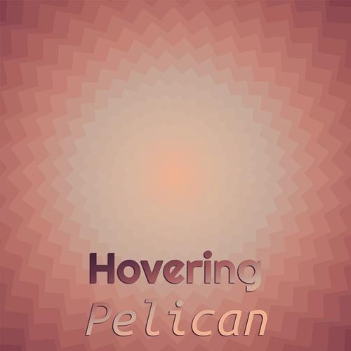 Hovering Pelican