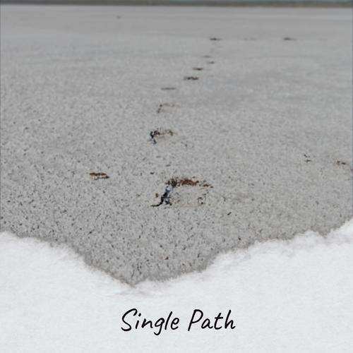 Single Path