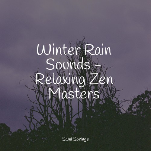 Winter Rain Sounds - Relaxing Zen Masters