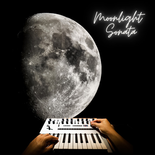 Moonlight Sonata (Synth Version)