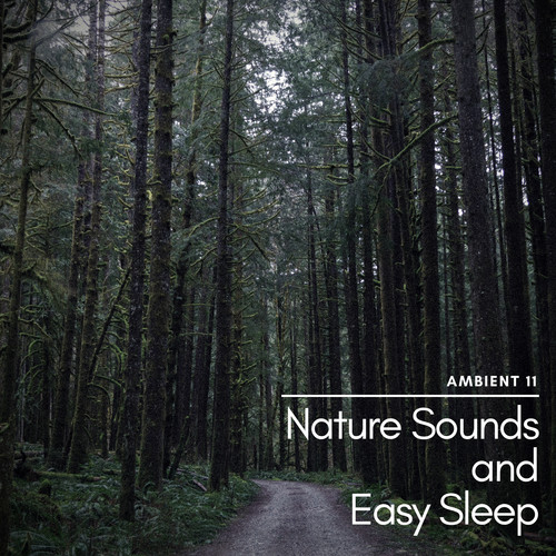 Nature Sounds And Easy Sleep