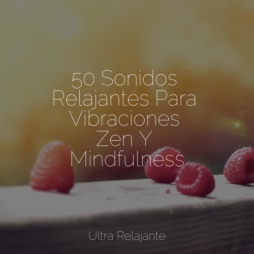 50 Sonidos Relajantes Para Vibraciones Zen Y Mindfulness