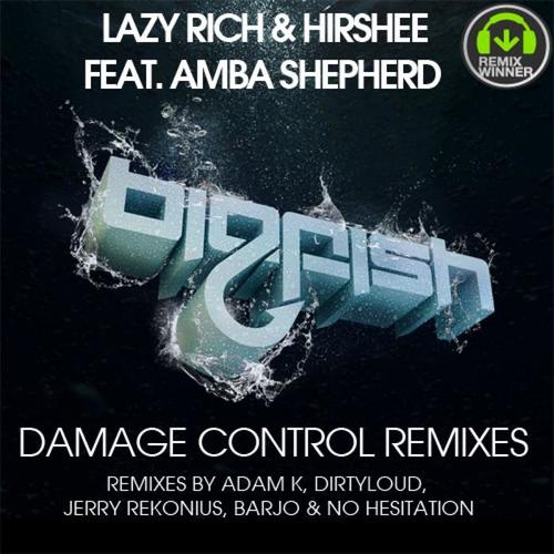 Damage Control Remixes