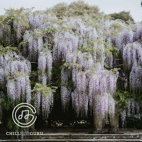 Hanging Gardens