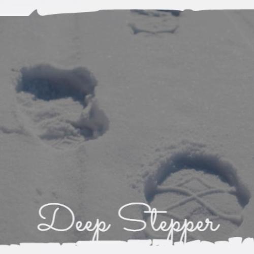 Deep Stepper