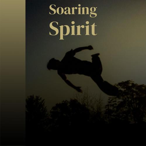 Soaring Spirit