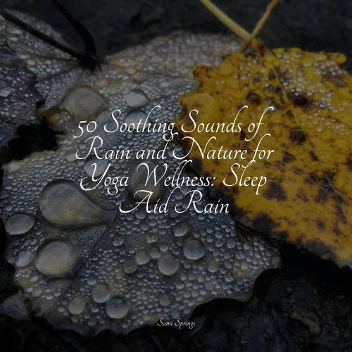 50 Soothing Sounds of Rain and Nature for Yoga Wellness: Sleep Aid Rain