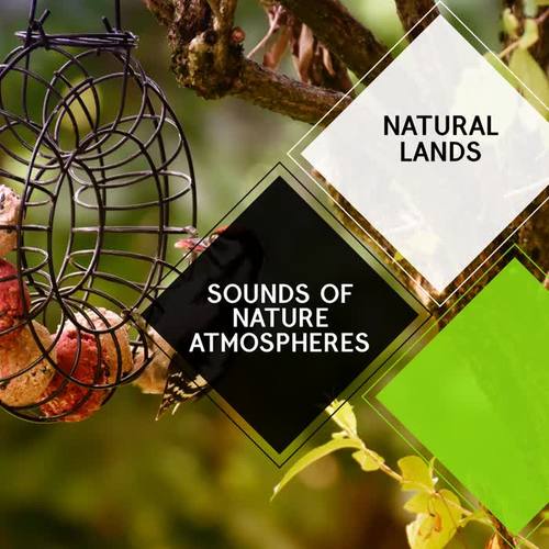 Sounds of Nature Atmospheres - Natural Lands