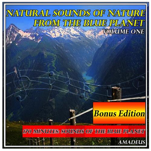 Natural Sounds of Nature from the Blue Planet: Volume 1: Bonus Edition