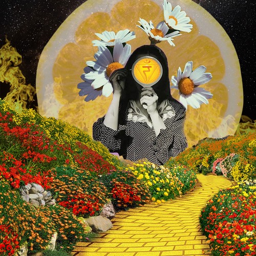 Solar Plexus Chakra (Manipura)