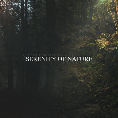 Serenity of Nature: 15 Total Sounds for Deep Meditation and Relaxing, Calming Melodies of Nature, Zen Concentration