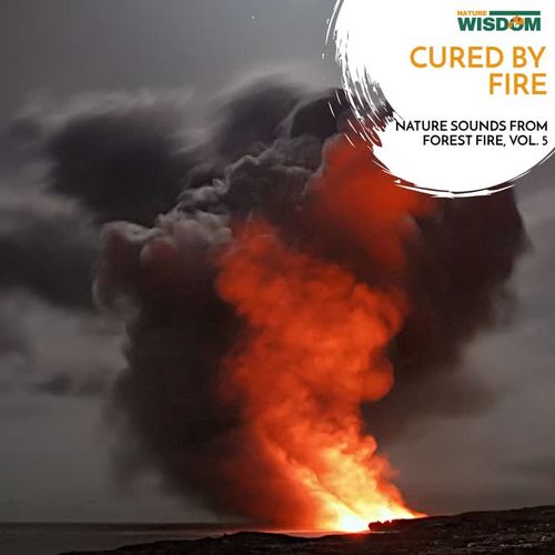 Cured by Fire - Nature Sounds from Forest Fire, Vol. 5