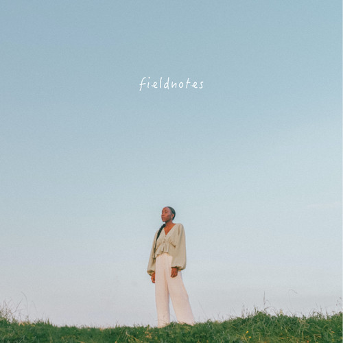 FIELDNOTES (Explicit)