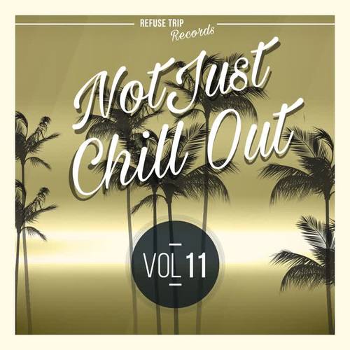 Not Just Chill Out Vol. 11