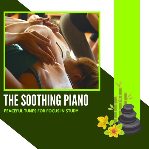 The Soothing Piano - Peaceful Tunes For Focus In Study