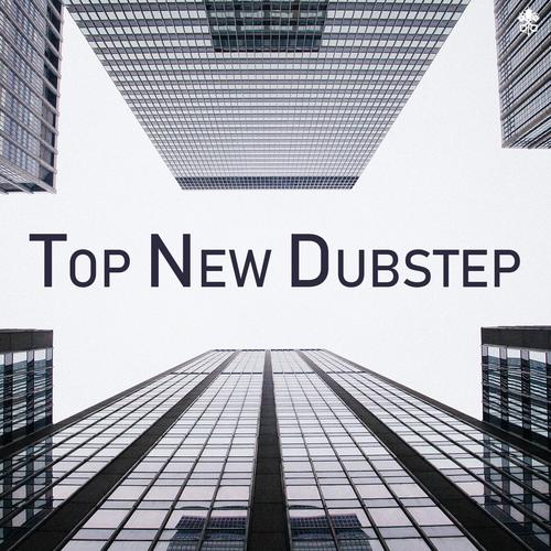 Top New Dubstep