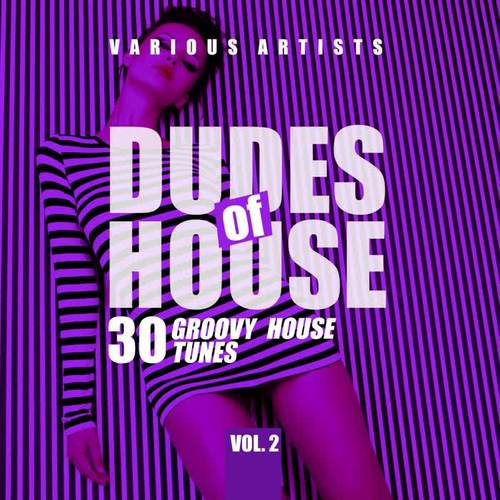 Dudes of House (30 Groovy House Tunes), Vol. 2