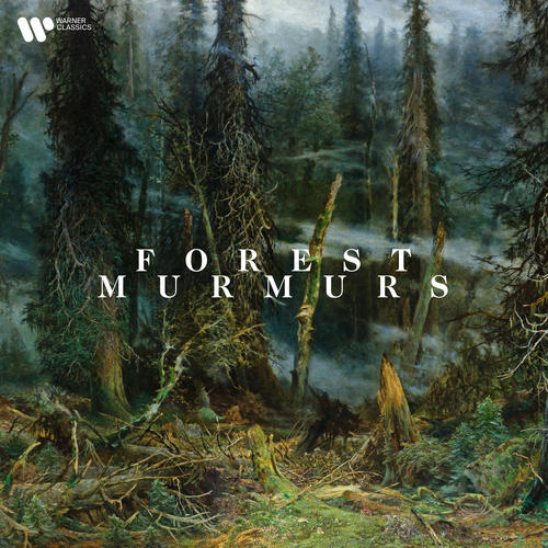 Forest Murmurs