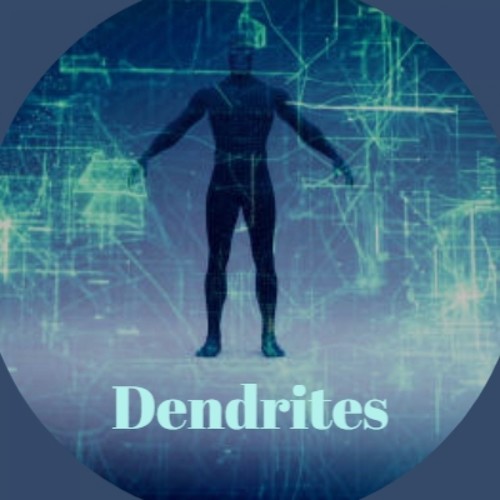 Dendrites