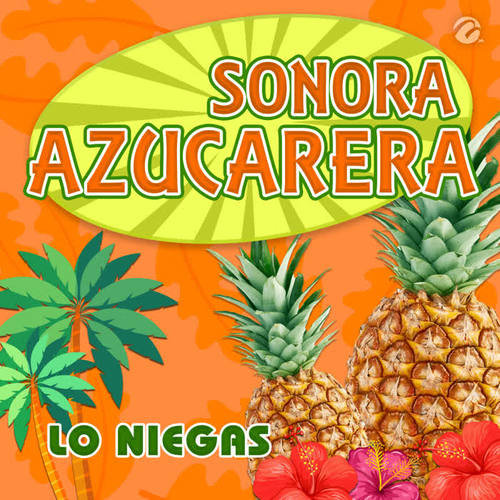 Lo Niegas
