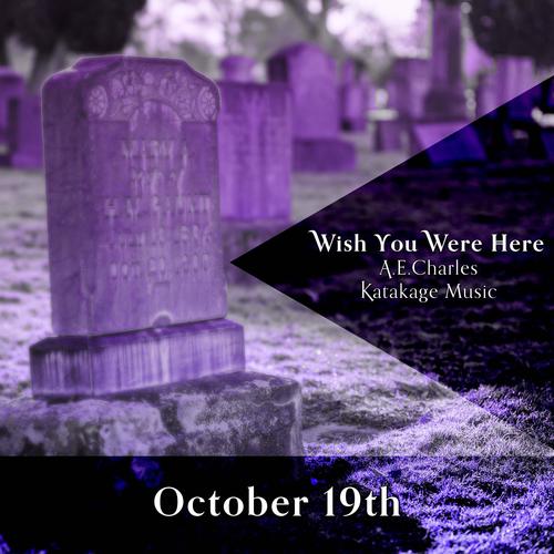 Wish You Were Here (feat. Kajim)