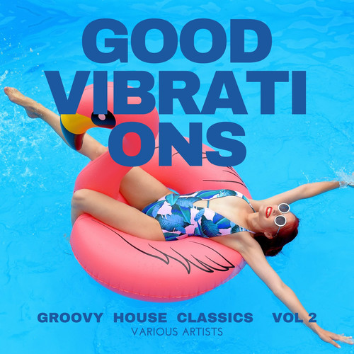 Good Vibrations (Groovy House Classics) , Vol. 2