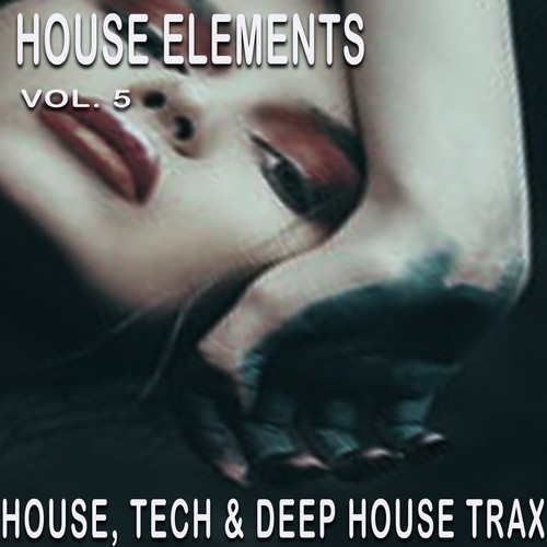 House Elements, Vol. 5