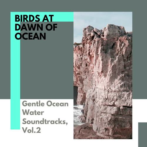 Birds at Dawn of Ocean - Gentle Ocean Water Soundtracks, Vol.2