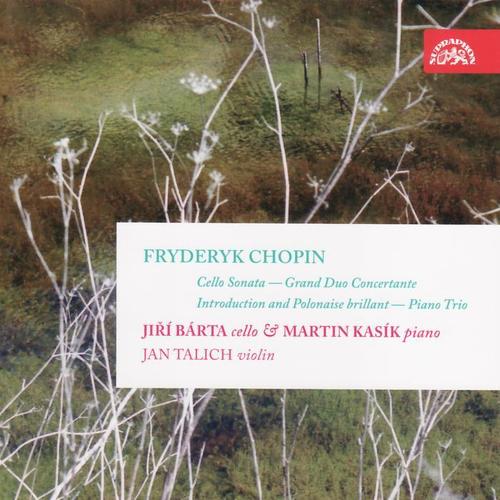 Chopin: Cello Compositions, Piano Trio