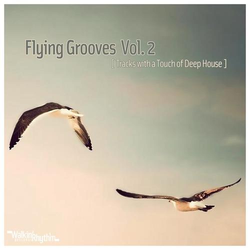 Flying Grooves, Vol. 2 - Tracks With a Touch of Deep House