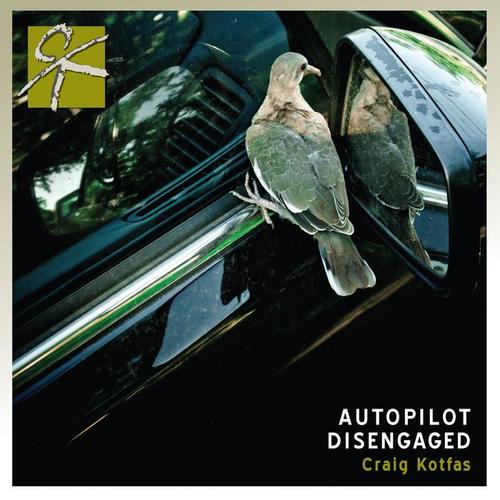 Autopilot Disengaged