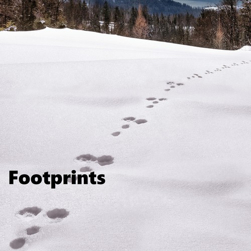 Footprints