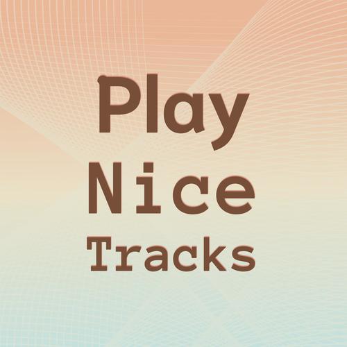 Play Nice Tracks