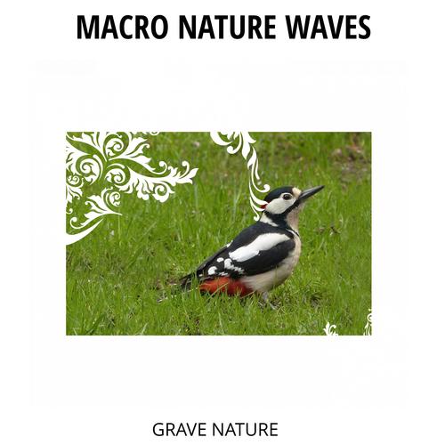 Macro Nature Waves - Grave Nature