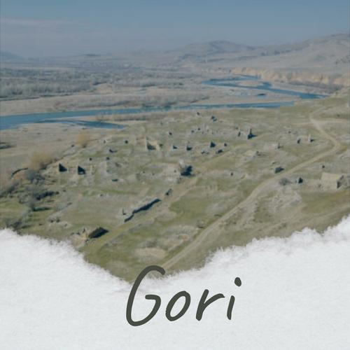 Gori