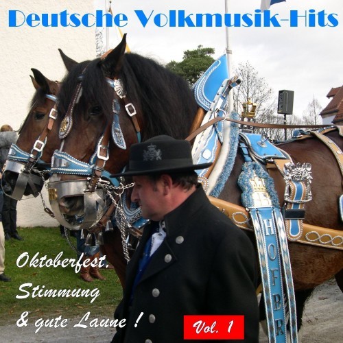 Deutsche Volksmusik Hits - Oktoberfest, Stimmung & gute Laune! Vol. 1 (Explicit)