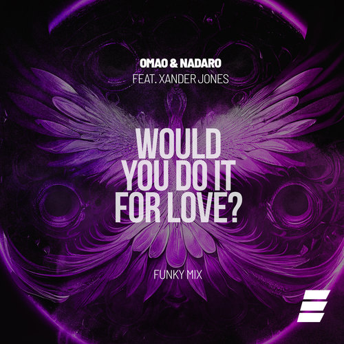 Would You Do It for Love? (Funky Mix)