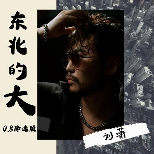 东北的大 (0.8降速版)