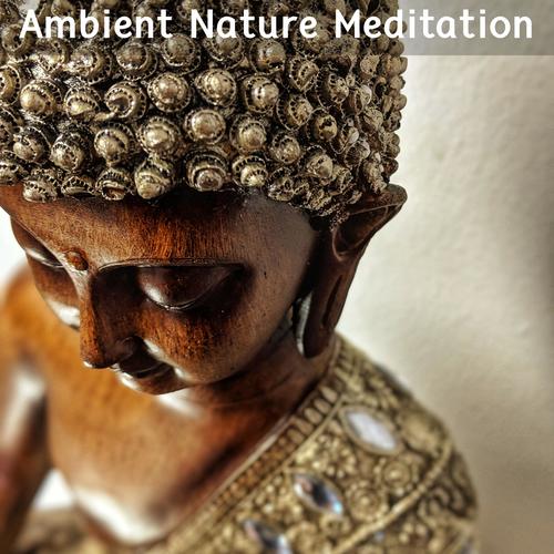 Ambient Nature Meditation