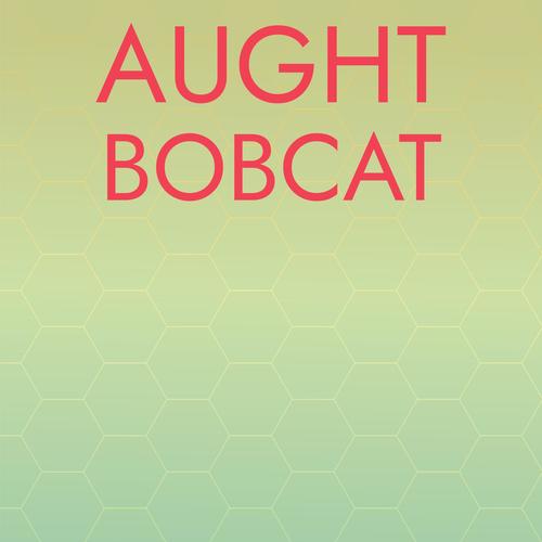 Aught Bobcat