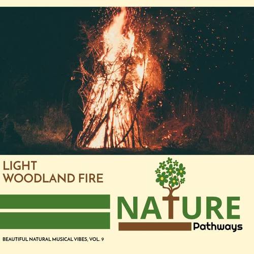 Light Woodland Fire - Beautiful Natural Musical Vibes, Vol. 9