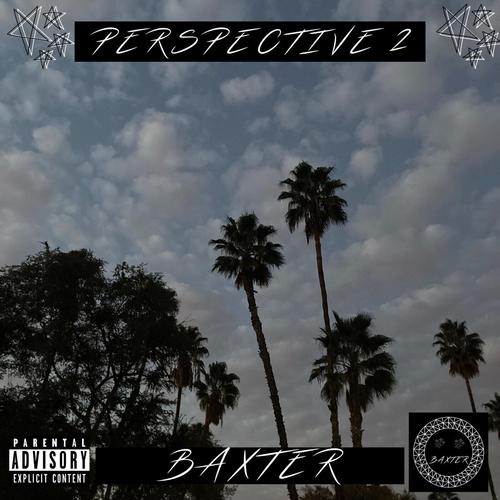 Perspective 2 (Explicit)