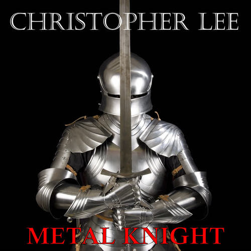 Metal Knight