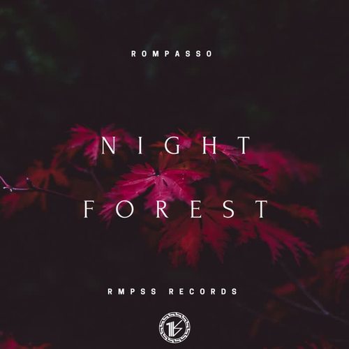 Night Forest