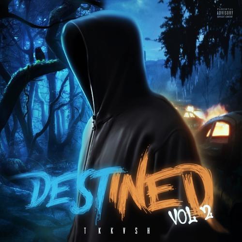 It was Destined: Vol 2 (Explicit)