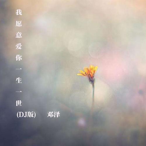 我愿意爱你一生一世（DJ版）