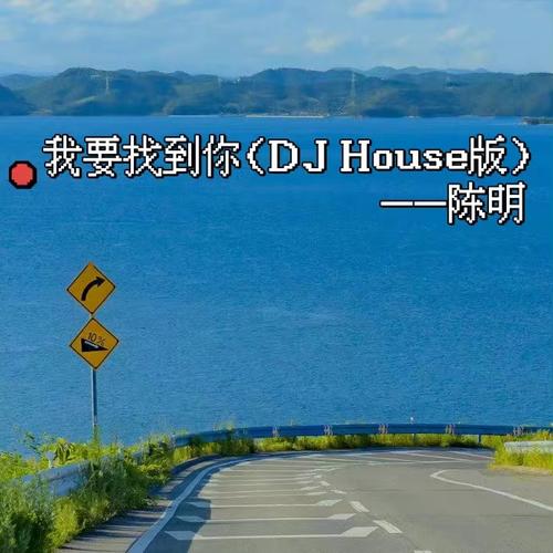 我要找到你 (DJ House版)