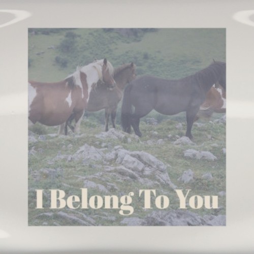 I Belong To You