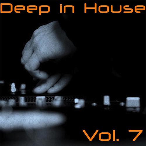 Deep in House, Vol. 7